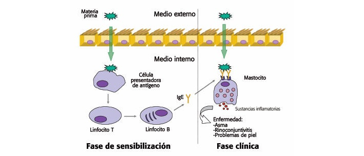 Tratamiento farmacologico de la rinitis alergica